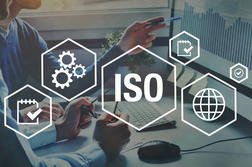 ISO 14001. Jak zdobyć ten certyfikat środowiskowy