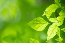 ISO 14001. Czego dotyczy ta norma ISO?